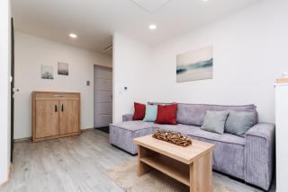 Apartment Hugo Klínovec - Loucná pod Klínovcem - 9