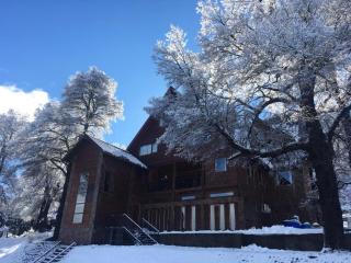 LONQUIMAY LODGE - Lonquimay - 9