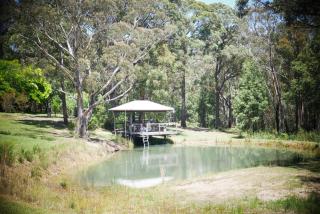 True North - 4BR Home & Garden in Bush Setting with Huge Bath - Bilpin - 8