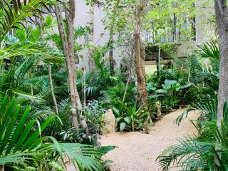 Vida Jungle Apart 1 with special fee to access Hotel Bardo - 3