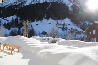Chalet Pfingsteggblick - Grindelwald - 7