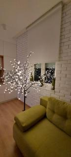 Apartment Ana, Vračar, Belgrade - Belgrado - 7