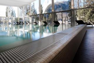 Schloss Hotel & Spa Pontresina - Pontresina - 7
