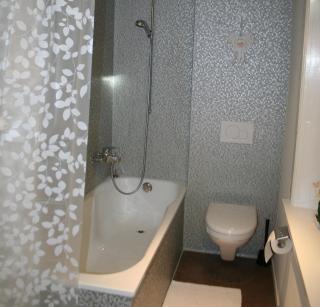 Ferienwohnung Rothorn Meiringen - Meiringen - 1