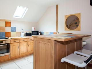 Gîte unique dans propriété historique avec musée, proche Châteauroux, 4 chambres, cheminée, fibre, parking. - FR-1-591-49 - Arthon - 5