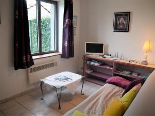 Gîte cosy en Val de Loire, proche Loire, Sologne, Sully/Loire - 1 ch, salon, cuisine, linge inclus - FR-1-590-30 - Guilly - 1