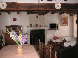 Maison Authentique en Berry avec Jeux, Jardin, à 30 min du Zoo de Beauval - FR-1-591-119 - Gehée - 2