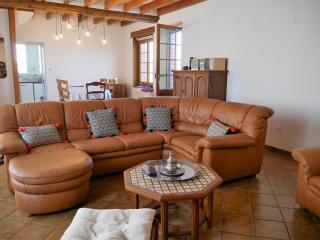 Charmante Maison pour 6 à St Père-sur-Loire, Vue Loire - FR-1-590-178 - Saint-Père-sur-Loire - 7