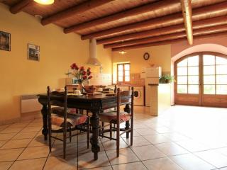 Grande maison en pierres avec jardin, proche d'un bourg médiéval, animaux acceptés - FR-1-582-161 - Allègre - 8