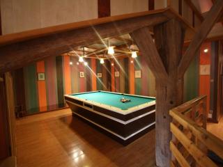Gîte familial avec salle de jeux, cheminée, terrasse et proche de sites touristiques - FR-1-589-186 - - 9