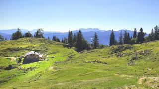 Ferienwohnung Allegra - 1