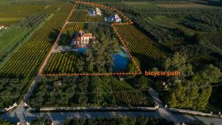 Aneli Luxury Villas - Villa Alexandra - Ayios Kirikos - 7