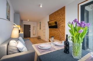 Karkonosky Apartamenty - Izery - Szklarska Poręba - 7