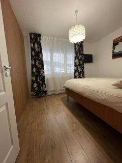 Melissa Home - Vatra Dornei - 1