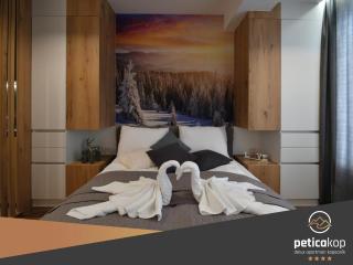 Apartman PETICA KOP A8 Kopaonik - Kopaonik - 5