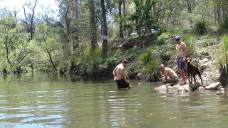 Emu Creek Retreat - Tabulam - 4