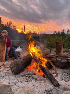 Emu Creek Retreat - Tabulam - 3