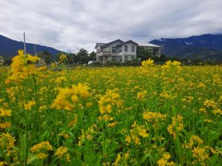 Ode to Mansions B&B - Chishang - 2