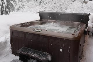 Alpine Trails Lodge - Snoqualmie Pass - 8