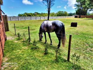 Theescombe Accomodation - Port Elizabeth - 5