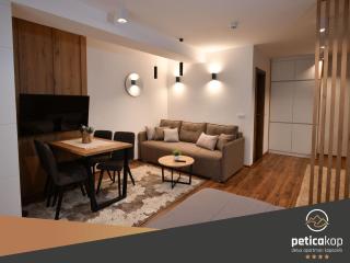 Apartman PETICA KOP A8 Kopaonik - Kopaonik - 3
