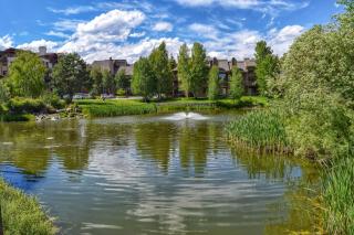 Sun Valley Retreat - Sun Valley - 4