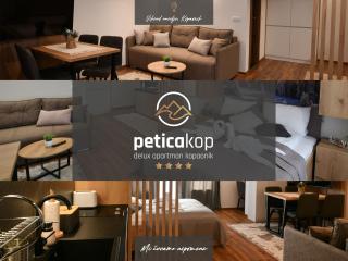 Apartman PETICA KOP A8 Kopaonik - Kopaonik - 0