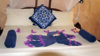 Nest Style Beach Hotel Zanzibar - Makunduchi - 4
