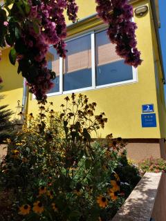 Rooms Mediterranean Gardens - Preko - 7