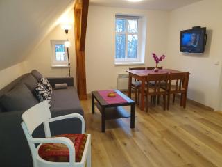 Apartmány Rudník Bolkov - Rudník - 4