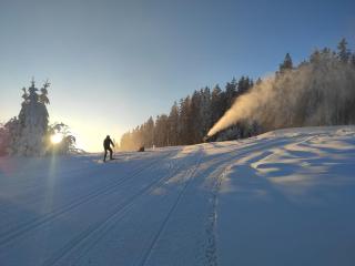 Lipno Riviéra - Myši v botě - Lipno nad Vltavou - 8
