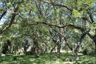 Estância Timbaúva - 6