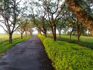 Estância Timbaúva - 7