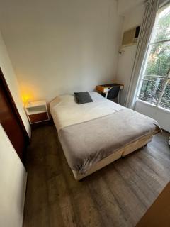 Hermoso departamento en zona tranquila de Recoleta - 6