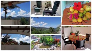 Paradis Caché - Confort Terrasse - Kybo Karaib Location - pkg - Mtgne - Sainte-Marie - 7