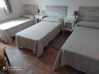 Cortijo Oliveras Moratalla - Murcia - 6