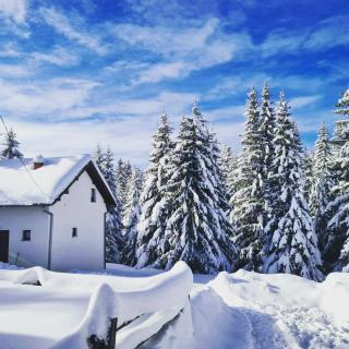 Markov konak - Jahorina - 0