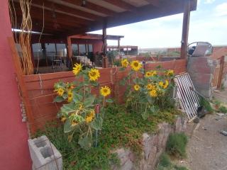 Bethany House - Calama - 8