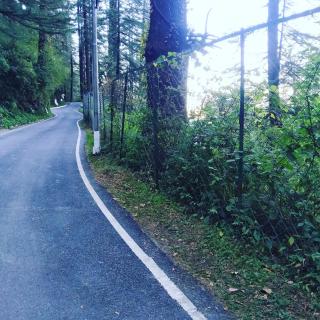Shimla Pines Homestay - Shimla - 2