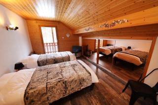 CHALET 6 PERS INDEPENDANT PROCHE CENTRE ET LAC - Gérardmer - 6