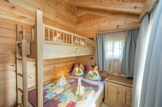 Dorf-Chalets Filzmoos mit Sauna - Filzmoos - 1