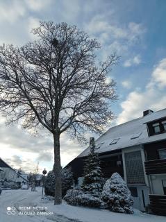 Winterberg Centrum mit privaten Ski Keller - Winterberg - 2