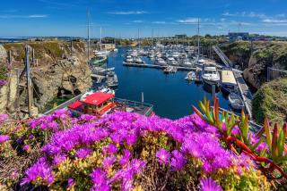 Ellingham Apartments, Bordeaux Harbour, Guernsey - Vale - 5