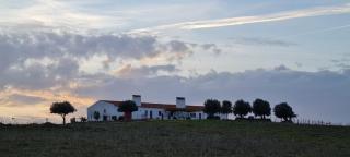 Monte do Arneiro - Sousel - 9