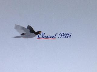 clasicel PAS - 9