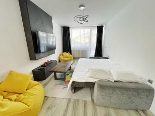 Perfect View Apartment - Sinaia - 2