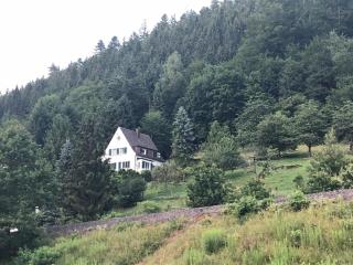 Ferienhaus Waldglück - Calw - 9