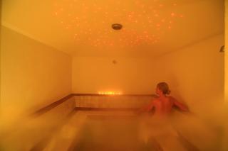 Parkhotel Plauserhof - 4