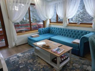 Kalinderu luxury ski loft - Buşteni - 9