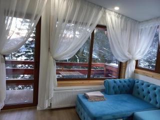 Kalinderu luxury ski loft - Buşteni - 7